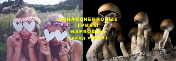 героин Алексин