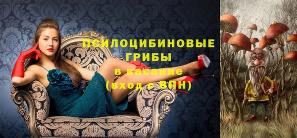 Альфа ПВП Алексеевка