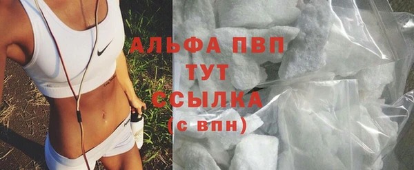 индика Переславль-Залесский
